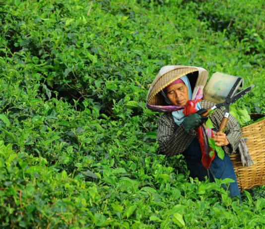 Discover these coffee wet mill makeovers on the cheap